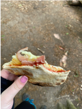 Picture of a pizza pocket