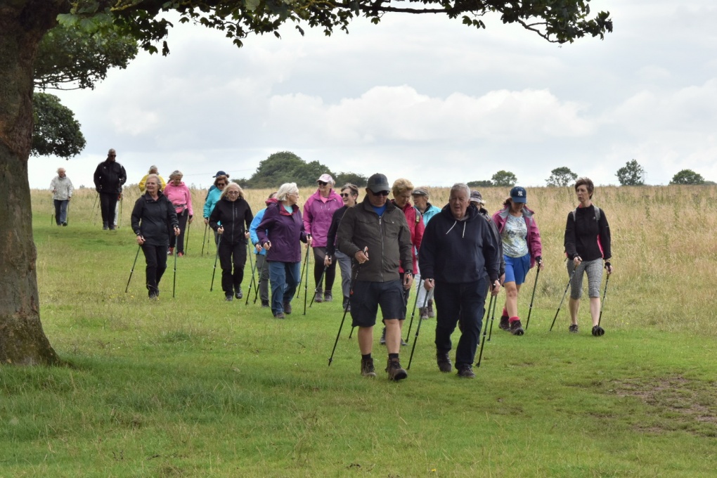 A large group of Nordic Walkers walking through a meadow