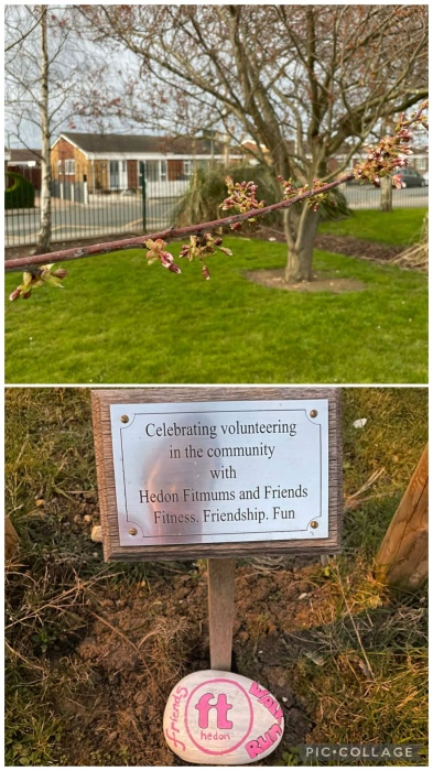 Hedon Fitmums and Friends Tree - called Blossom