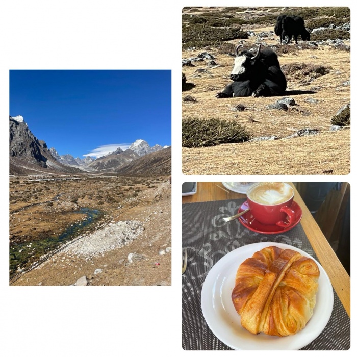 image shows glacial river, Yak and apple danish on a plate