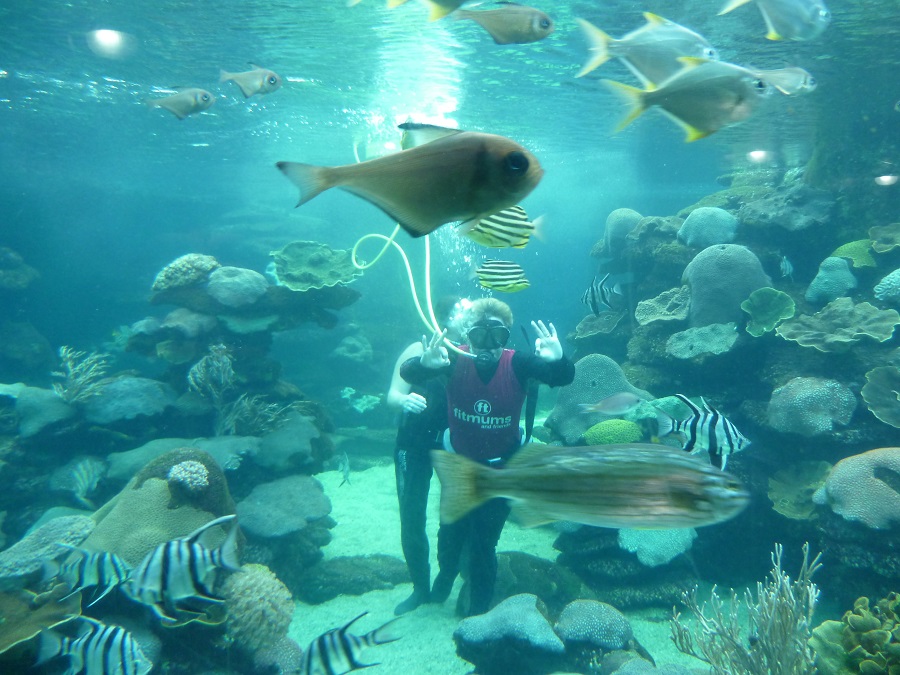 Julia Reef walking - Hillarys Western Australia
