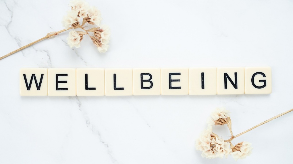 We are recruiting - Volunteer Overarching Welfare Lead